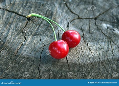 Dos Deliciosas Cerezas Rojas Maduras En El Viejo Trozo Imagen De