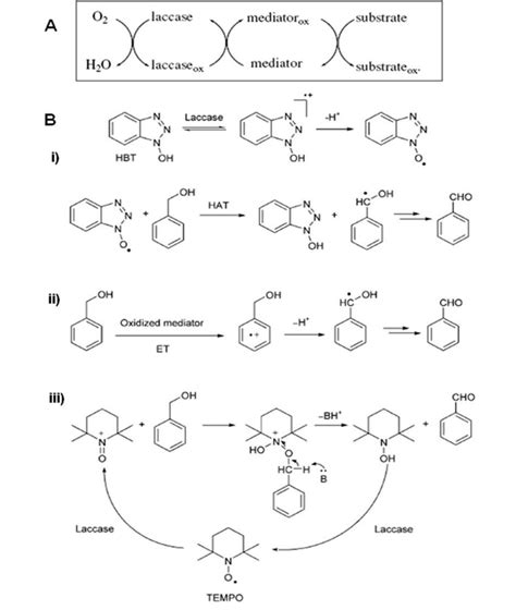 Schematic Representation Of A The Laccase Mediator Redox Cycle And