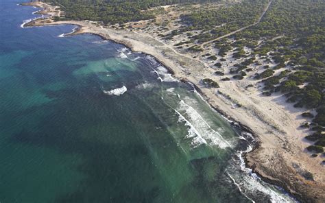 Strandführer Mallorca S Arenal d es Casat mallorca services es