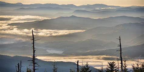 Clingmans Dome in Great Smoky Mountains