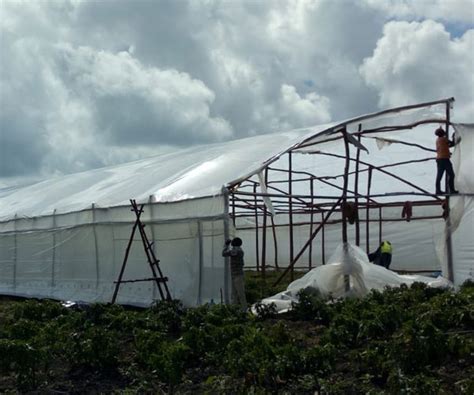 Wooden Greenhouse In Kenya Green Houses