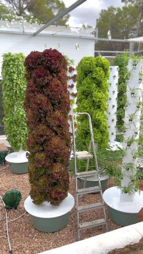 TIRUSS Vertical Hydroponic Grow Tower Aeroponic Tower For Herbs Fruits