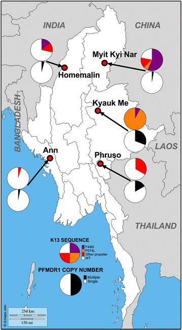 The Prevalence Of Mutations In The Propeller Region Of Plasmodium