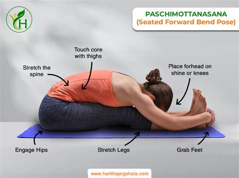 Steps & Benefits of Paschimottanasana (Seated Forward Bend)