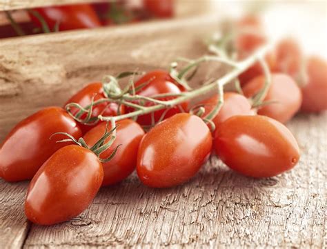 San Marzano Tomatoes How To Grow Care For Solanum Lycopersicum