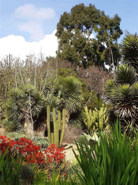 Uci Arboretum Alchetron The Free Social Encyclopedia