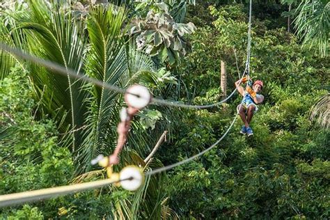 Mindo Cloud Forest Full Day With Birding Waterfalls Zip Line Chocolate