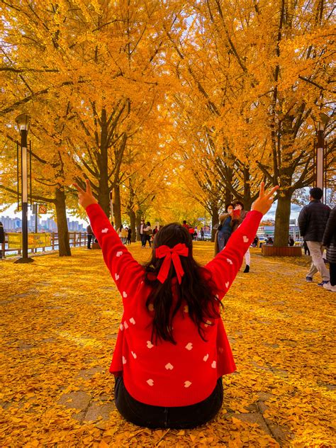 Autumn In Korea 23 Amazing Places To Visit During Autumn Adventures