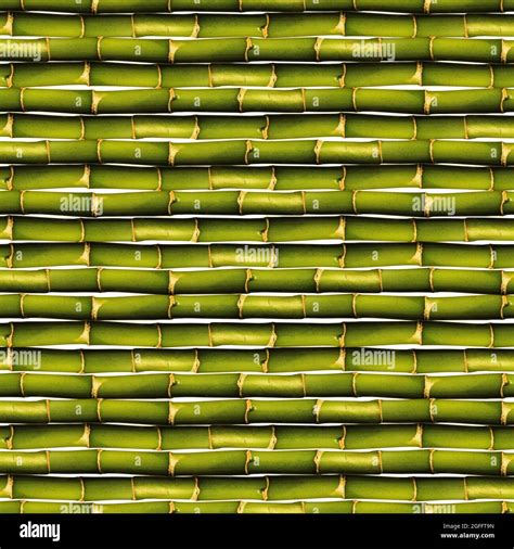 Green Bamboo Seamless Wall And Fence Texture Green Bamboo Background