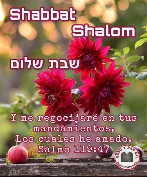 Épinglé sur SHABBAT SHALOM Y SHAVUA TOV FRASES