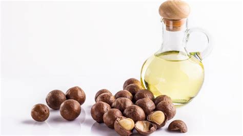 Aceite De Macadamia Contraindicaciones Beneficios Y Propiedades