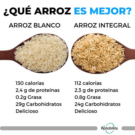 Qu Arroz Es Mejor Blanco O Integral Aptability Net