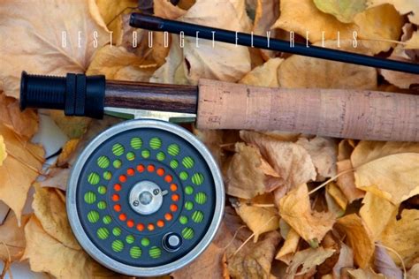 The Best Budget Fly Reels In Buyers Guide