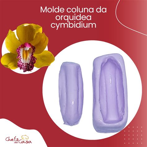 Molde Coluna Da Orquidea Cymbidium Shopee Brasil