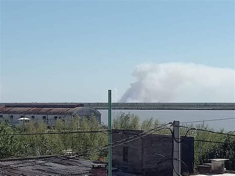 Condenaron A Dos Apicultores Por Los Incendios De Las Islas En El Delta