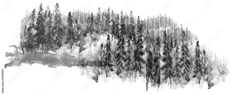 Watercolor Group Of Trees Fir Pine Cedar Fir Tree Black And White