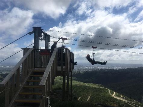 Zipline Tour - Christchurch Adventure Park - Epic deals and last minute ...