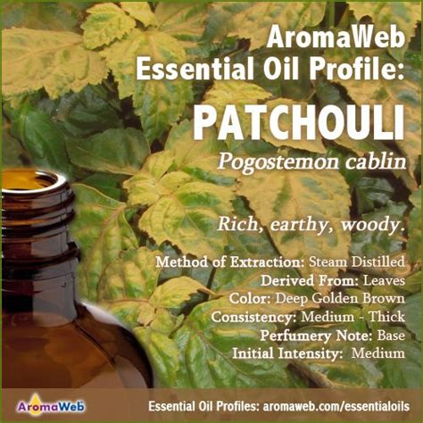 Patchouli Essential Oil Profile Benefits And Uses Essential Oil