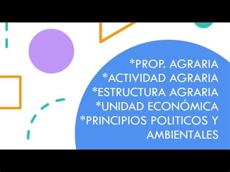 Propiedad Actividad Y Estructura Agraria Video Agrario Youtube