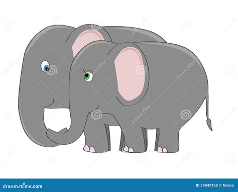 Elephant Couple Stock Vector Illustration Of Grey Mammal