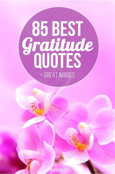 85 Best Gratitude Quotes And Thankful Sayings Images