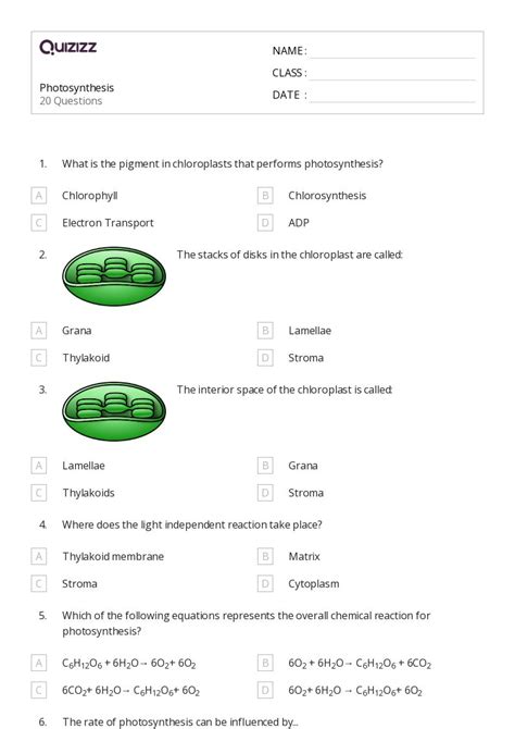 Photosynthesis Worksheets For Th Grade On Quizizz Free