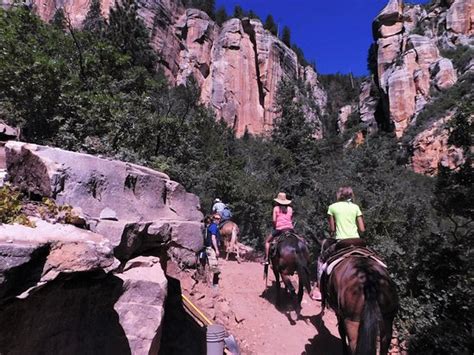 Grand Canyon North Rim Mule Rides Tour Tropic 2019 All You Need To