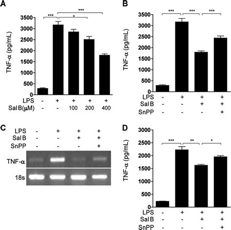 Sal B Inhibited LPS Induced TNF Production In RAW 264 7 And Murine