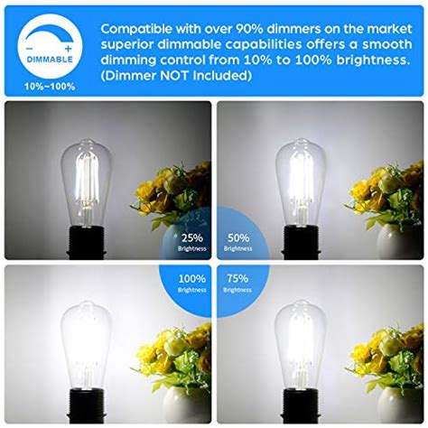 Lakumu Dimmable Vintage LED Edison Bulbs Equivalent 60W Incandescent