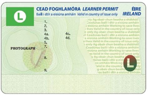 Irish Driving Licence Templates Paseebasic