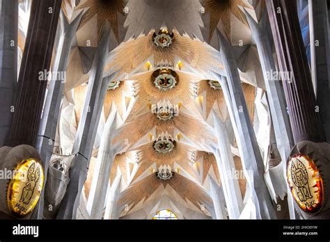 El famoso techo dentro de la Sagrada Familia de Antoni Gaudí en