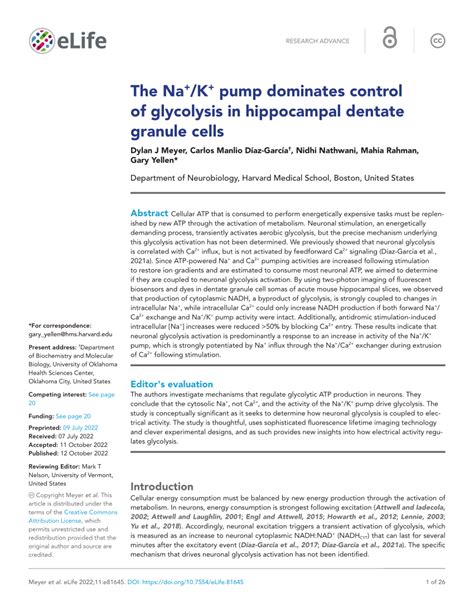 Pdf The Na K Pump Dominates Control Of Glycolysis In Hippocampal