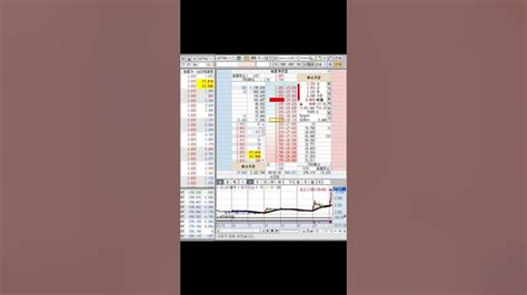 미스터블루 상한가 진입 호가창 복기 영상 24 01 24 Youtube