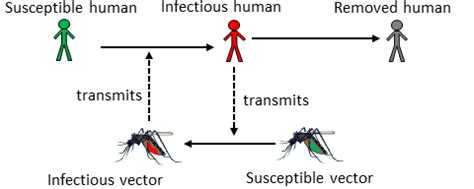 Chapter 9 Vector-borne Transmission | IDEMAbook.utf8