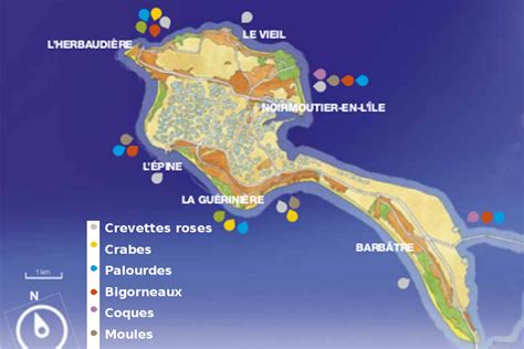 Où trouver des palourdes à Noirmoutier As voyage net