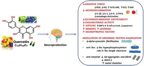 Frontiers Neuropharmacological Effects Of Quercetin A Literature