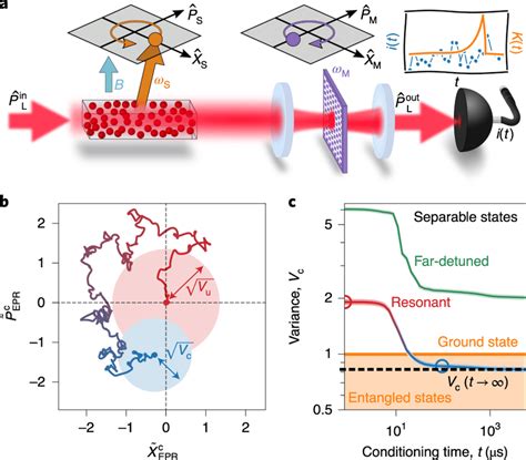 Tracking Of The Epr Oscillator A A Simplified Schematic Of The