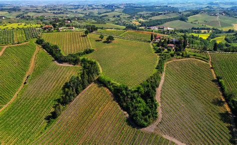 Wine And Art Poggio Ai Laghi