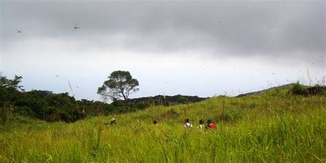 Núi Chúa National Park – Ninh Thuan Province, Vietnam