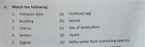 Match The Following Fallopian Tube Etc Brainly In