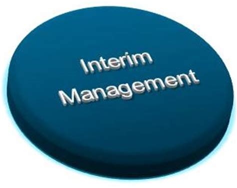 Interim Management - Business Coach and Business English teacher