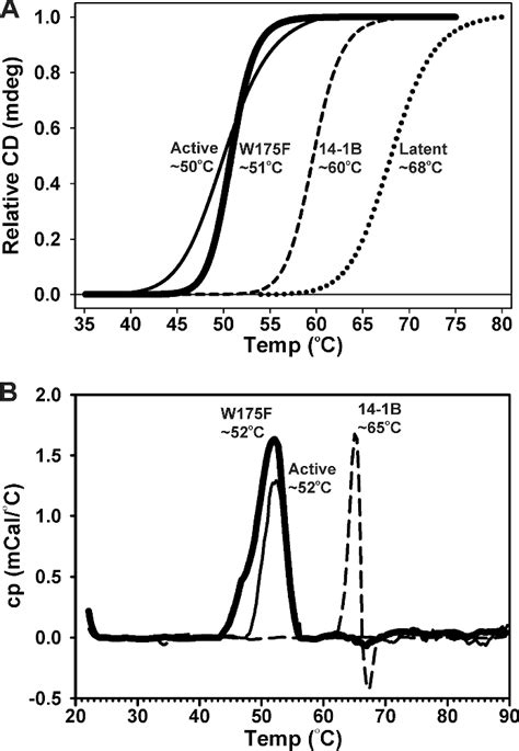 Figure 1 from Crystal Structure of Plasminogen Activator Inhibitor-1 in ...