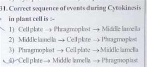 Correct Sequence Of Events During Cytokinesis In Plant Cell Is Filo