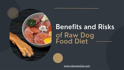 Weighing The Benefits and Risks of Raw Dog Food Diet - PetCareClub by ...