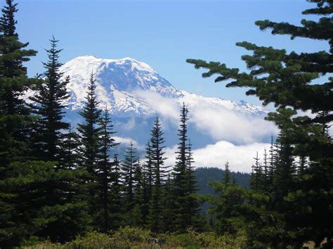 100 Free Seattle Landscape And Seattle Images Pixabay