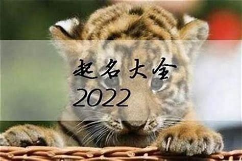 属虎女孩的小名叫什么好？2022年属虎的女孩小名起名若朴堂文化