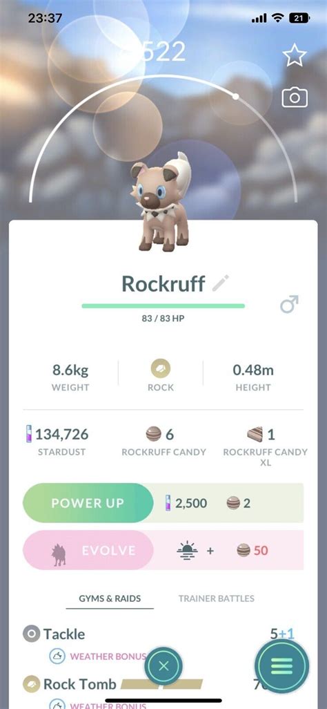 Rockruff Dusk Form Version Pokemon Trade Go Same day Pokémon Lycanroc