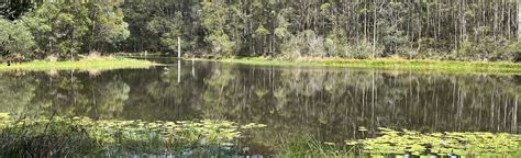 Pomona To Cooran Loop Queensland Australia Reviews Map Alltrails