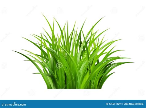 Realistic Green Grass Bushes Of Fresh Greens Spring Meadow Stock