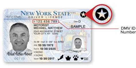 Getting A New York Drivers License For Total Beginners By Evelyndj